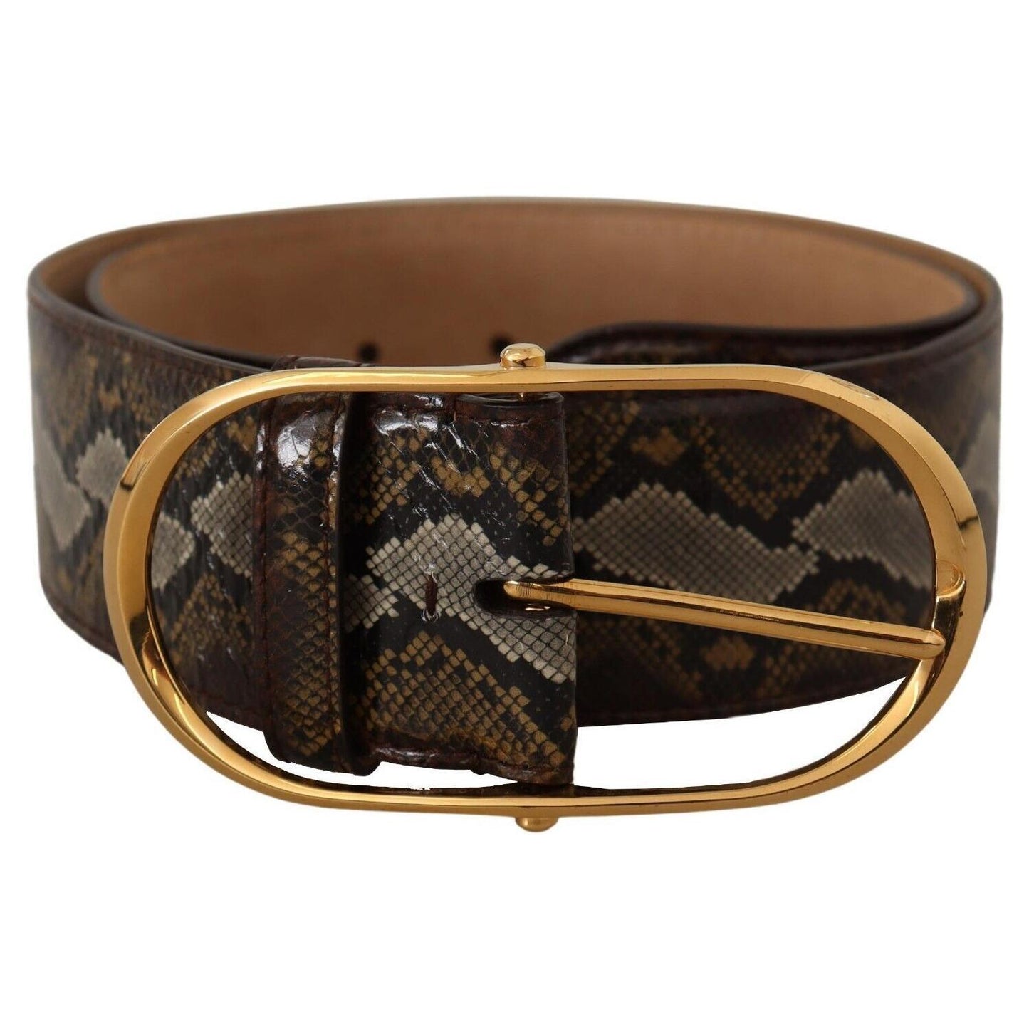 Dolce & Gabbana Brown Python Leather Gold Oval Buckle Belt BEL8360 - 80