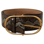 Dolce & Gabbana Brown Python Leather Gold Oval Buckle Belt BEL8360 - 80