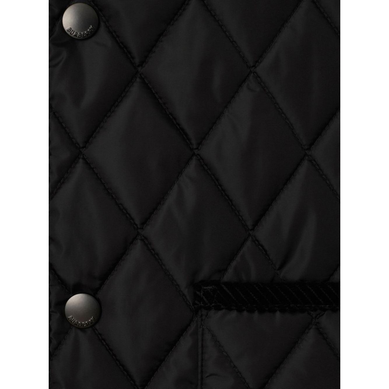 Burberry Nylon quilted sleeveless jacket 8104909A1189-P25