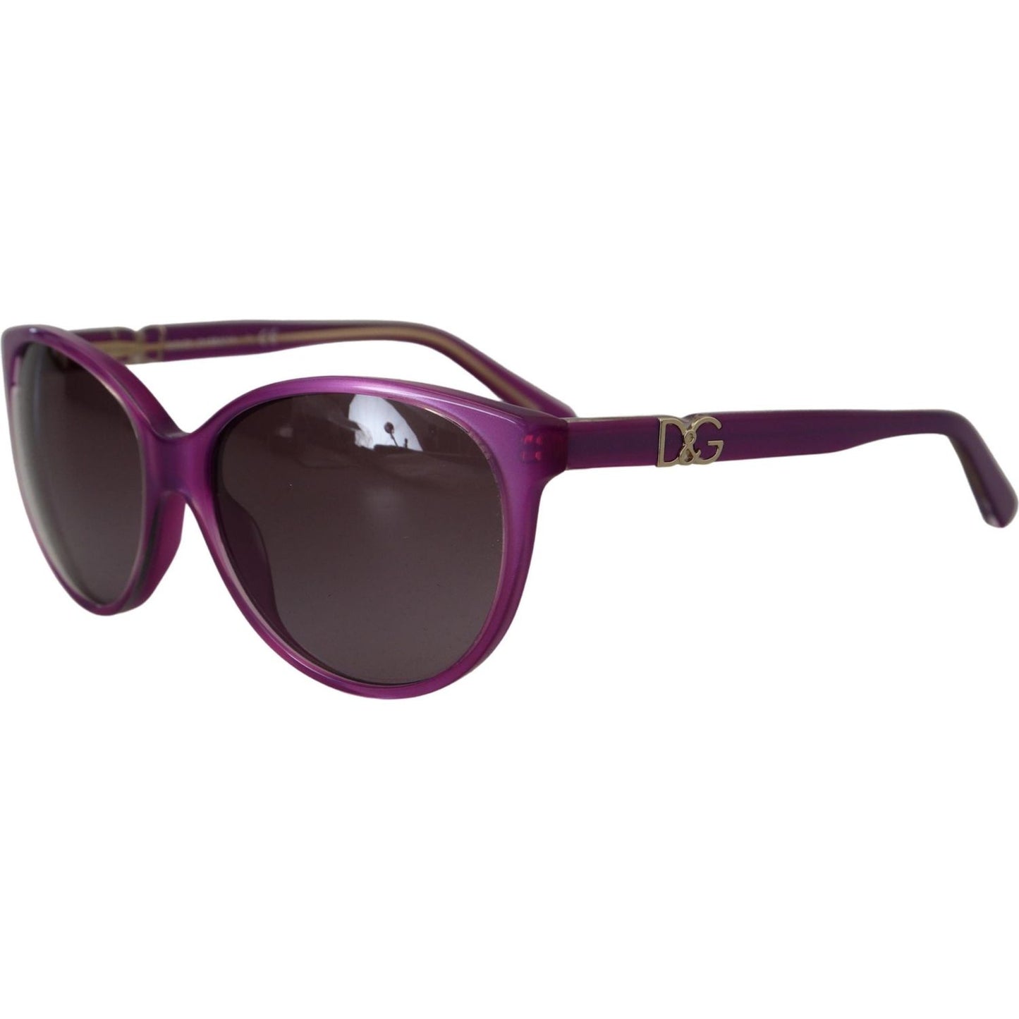 Dolce & Gabbana Purple Acetate Frame Round Shades DG4171P Sunglasses GLA1141