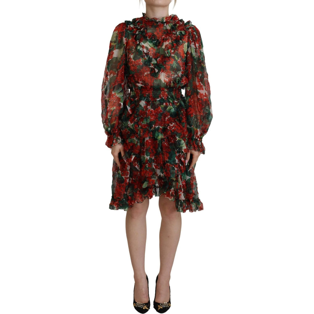 Dolce & Gabbana Multicolor Geranium A-line Knee Length Dress DR28782 - 40