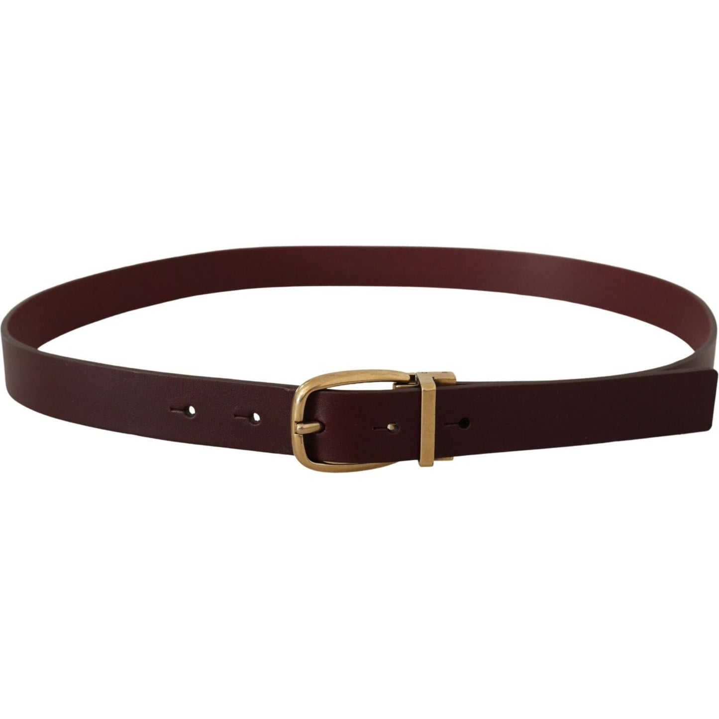 Dolce & Gabbana Brown Leather Classic Gold Metal Buckle Belt BEL8509 - 90