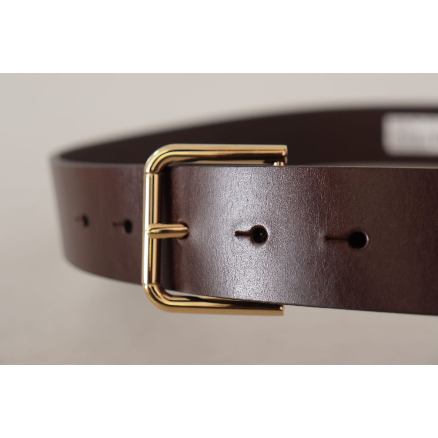 Dolce & Gabbana Brown Plain Calf Leather Gold Tone Buckle Belt BEL8608 -90