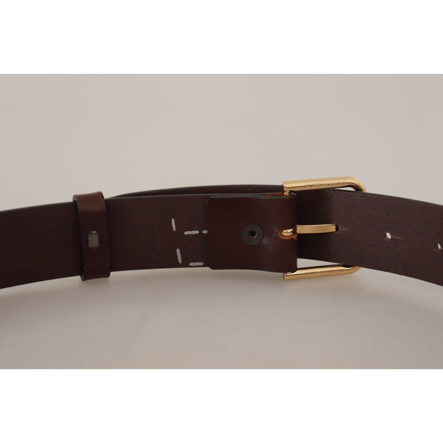 Dolce & Gabbana Brown Plain Calf Leather Gold Tone Buckle Belt BEL8608 -90