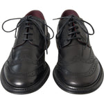 Dolce & Gabbana Black Leather Oxford Wingtip Formal Men Shoes MV5682-41