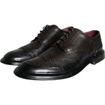 Dolce & Gabbana Black Leather Oxford Wingtip Formal Men Shoes MV5884-42