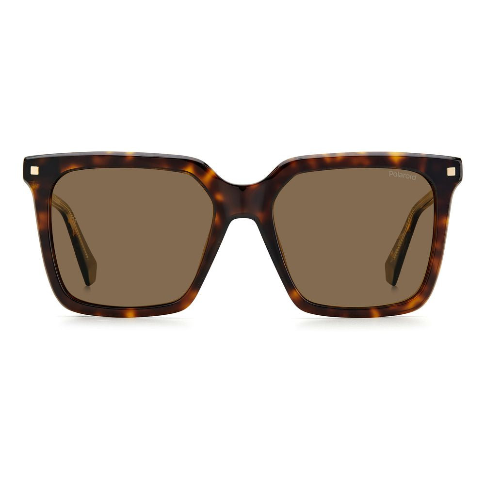 Polaroid Brown Acetate Sunglasses POPLD4115SX086F4SPAC