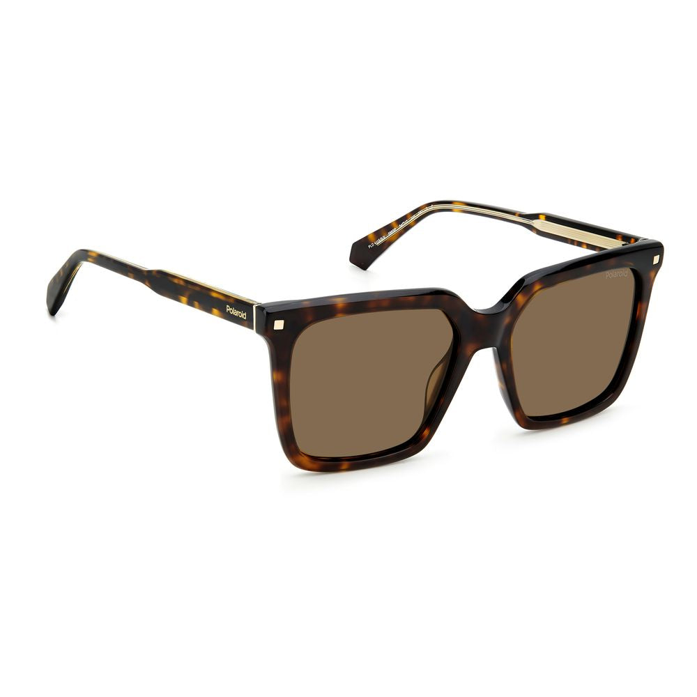 Polaroid Brown Acetate Sunglasses POPLD4115SX086F4SPAC