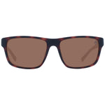 Timberland Brown Men Sunglasses TI-1039476