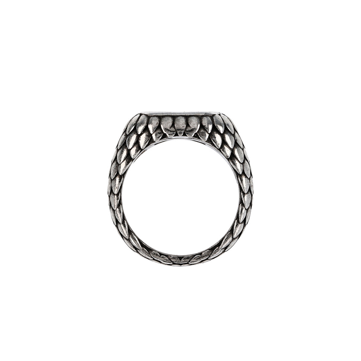 ALBERT M. JEWELS JEWELRY Mod. WSOX00569.TG-24 WSOX00569-TG-24