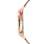 ARMANI EXCHANGE Mod. AX5573 AX5573