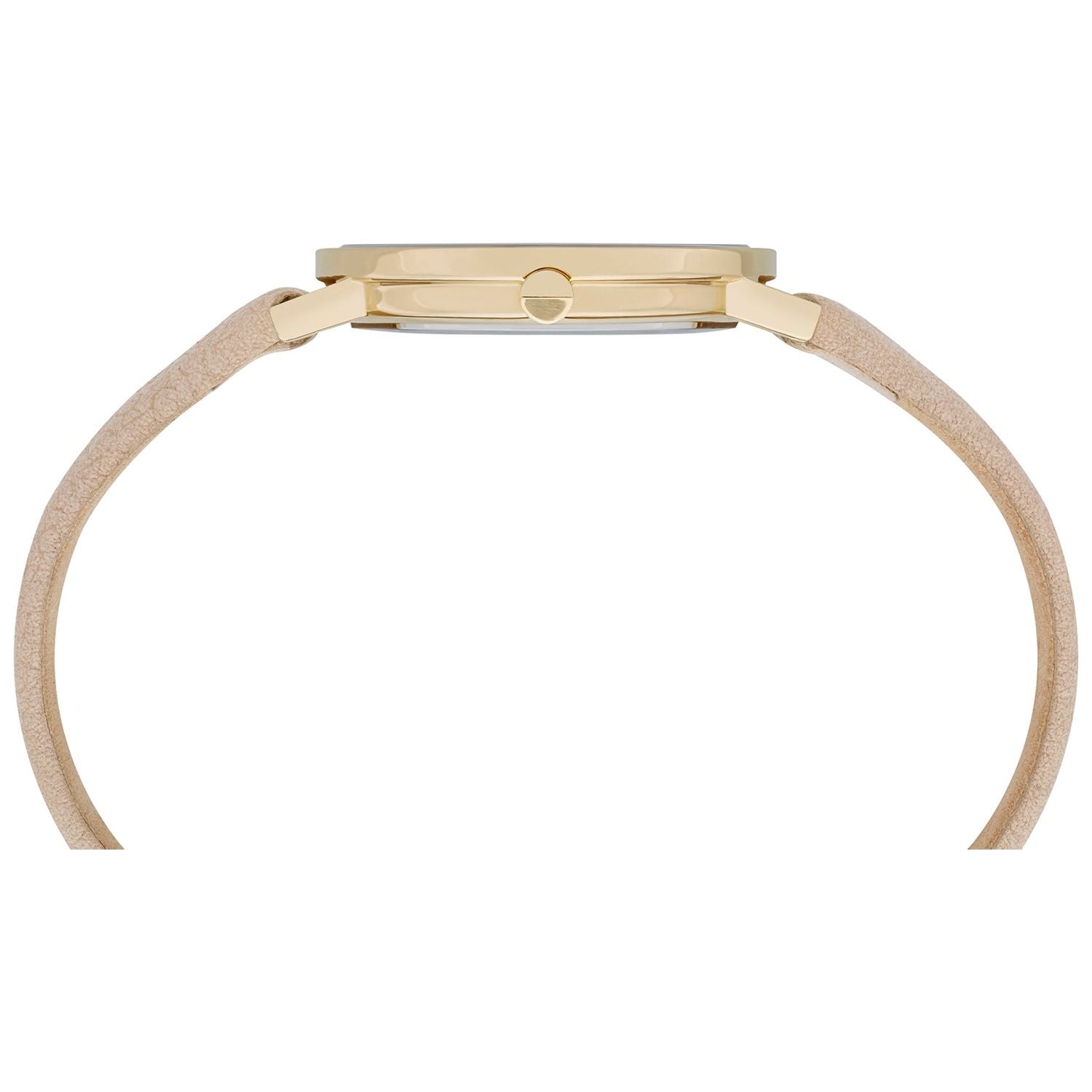 皮尔卡丹 型号 CBV-1503