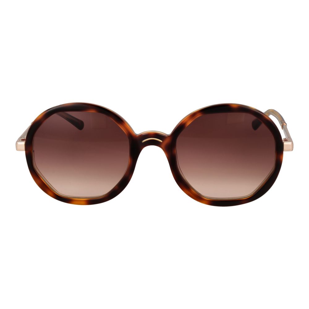 Sandro Brown Acetate Sunglasses with gradient brown lenses, square full-rim frame, and 100% UVA & UVB protection for women.