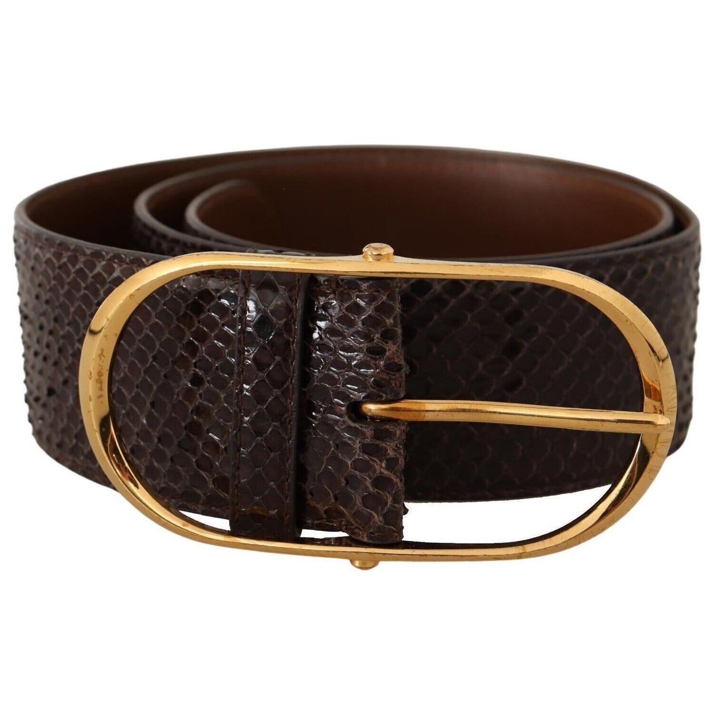 Dolce & Gabbana Brown Exotic Leather Gold Oval Buckle Belt BEL8357 - 80