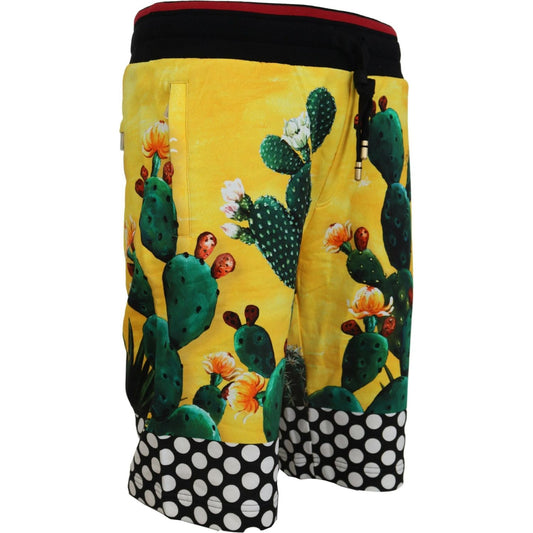 Dolce & Gabbana Multicolor Cactus Print Cotton Sweat Shorts PAN74569-44