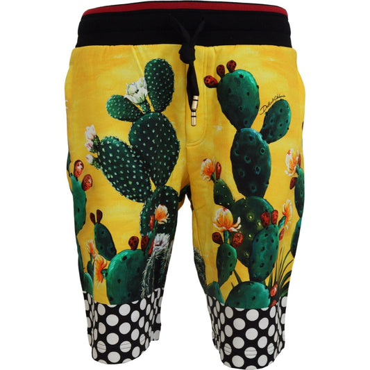 Dolce & Gabbana Multicolor Cactus Print Cotton Sweat Shorts PAN74569-44