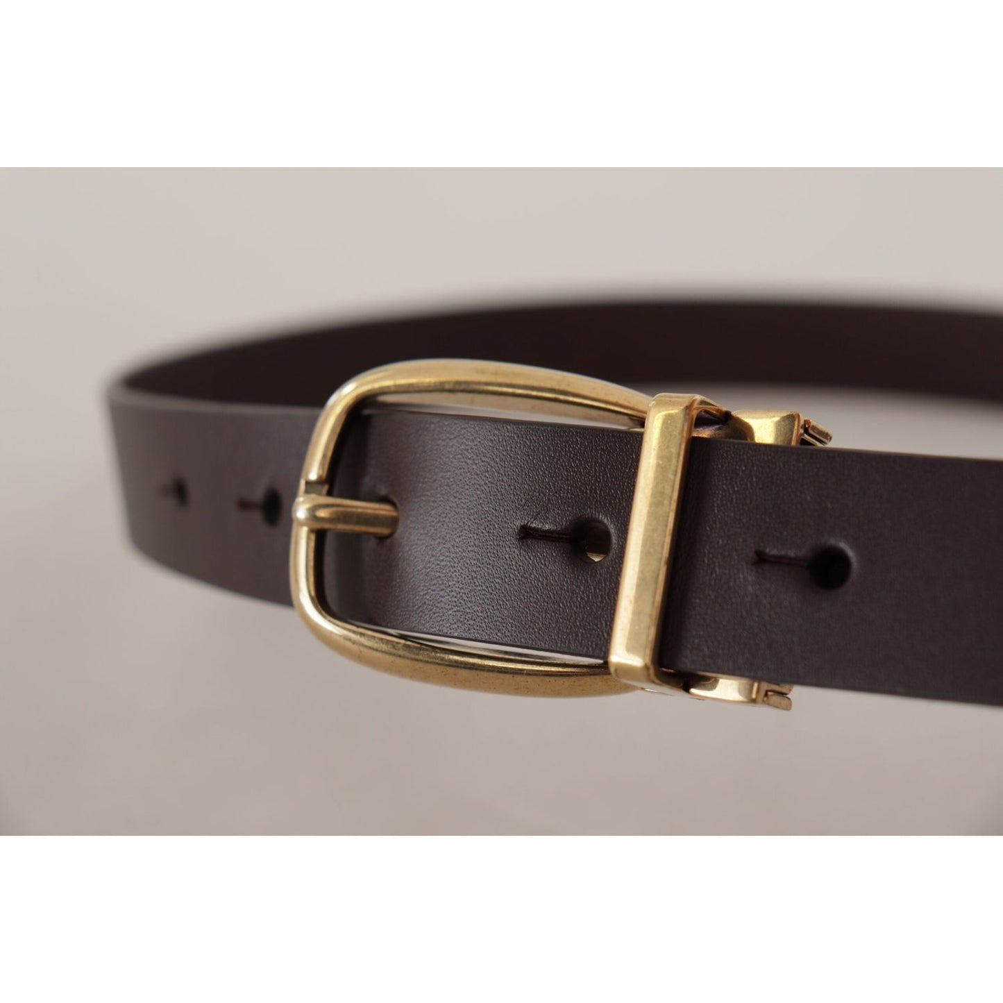 Dolce & Gabbana Dark Brown Calf Leather Gold Tone Metal Buckle BEL8602-85