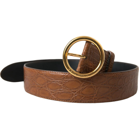 Dolce & Gabbana Brown Exotic Leather Round Buckle Belt BEL9085-95