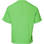 Dolce & Gabbana Green Logo Polyester Crew Neck T-shirt TSH87637-48