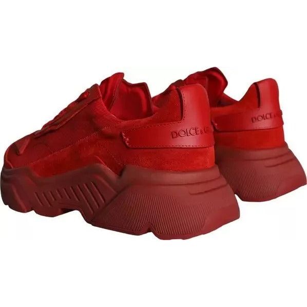 Dolce & Gabbana Red Leather Daymaster Low Top Sneakers Shoes MV3450#1-41.5
