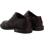 Dolce & Gabbana Brown Leather Derby Wingtip Lace Up Formal Dress Shoes MV6655-39
