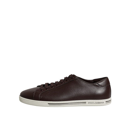 Dolce & Gabbana Brown Low Top Men Saint Tropez Sneakers Shoes