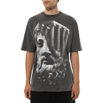Diego Venturino Gray Cotton T-Shirt DI-15129-S