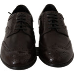 Dolce & Gabbana Brown Leather Broques Oxford Wingtip Shoes LA5979-35.5