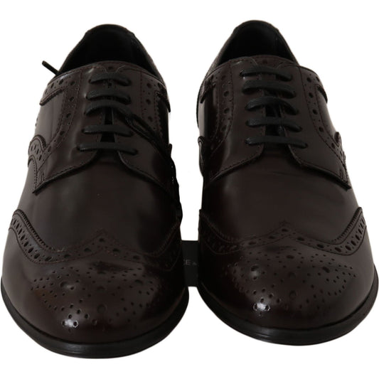 Dolce & Gabbana Brown Leather Broques Oxford Wingtip Shoes LA5979-35.5
