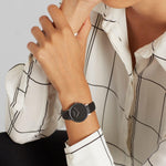 PIERRE CARDIN MOD. CBV-1502 CBV-1502