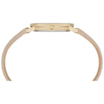 PIERRE CARDIN MOD. CBV-1503 CBV-1503