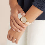 PIERRE CARDIN MOD. CBV-1503 CBV-1503