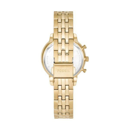 FOSSIL WATCHES Mod. ES5219 WATCHES