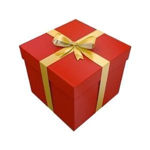 GIFT WRAPPING / CONFEZIONE REGALO / PAQUET CADEAUX / PAQUETE REGALO FASHION ACCESSORIES