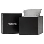 TIMEX Mod. ASHEVILLE TW2V02800